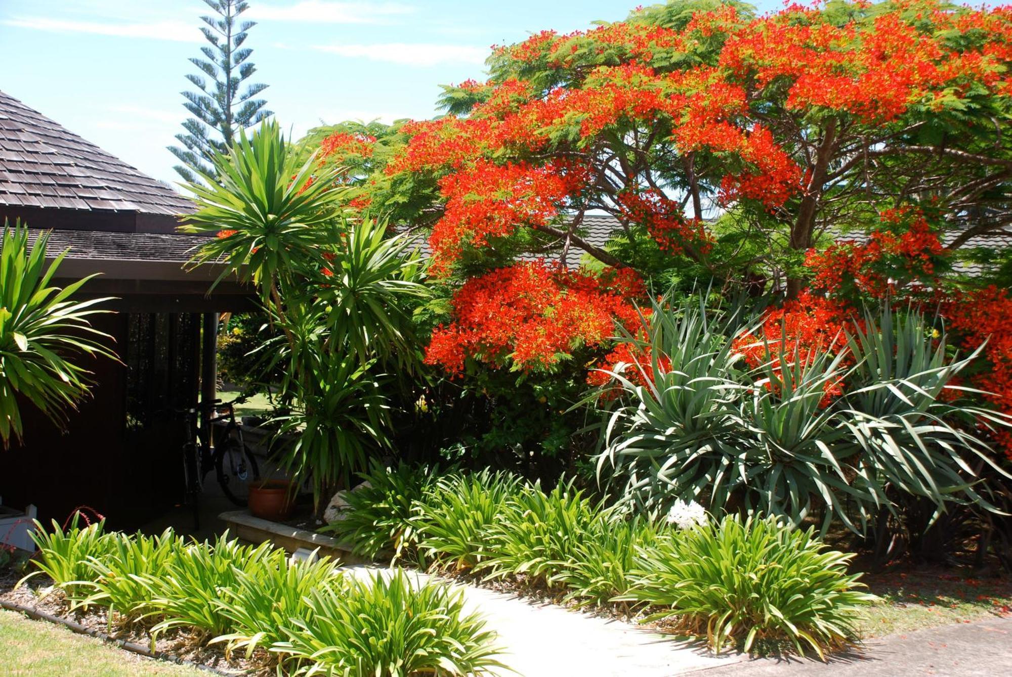 Ferienwohnung Coast Norfolk Island Burnt Pine Exterior foto
